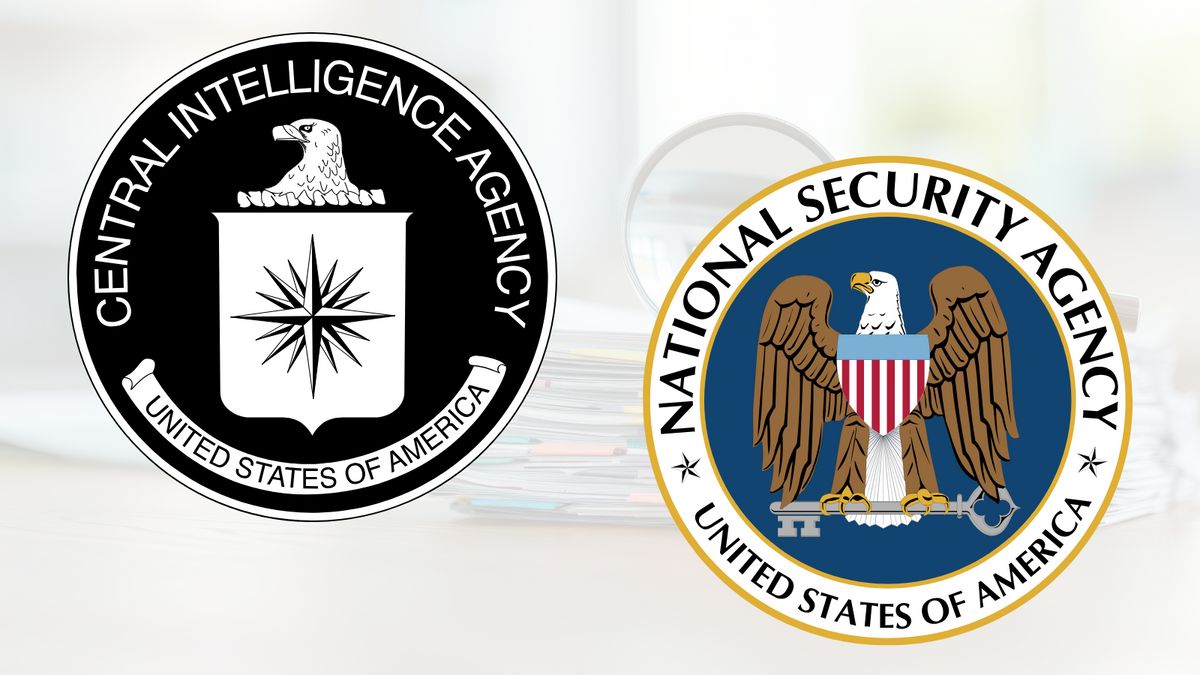 Examining rumor ex-CIA whistleblower said NSA audit proved Harris won 2024 election