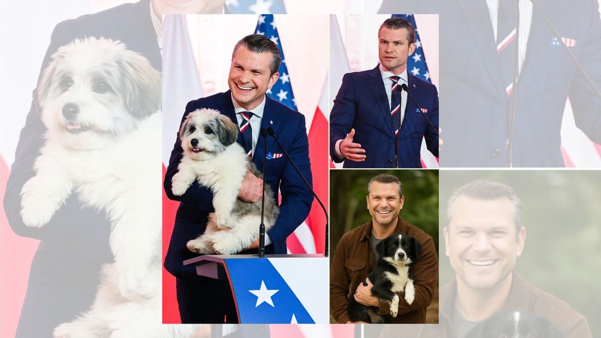 Did Pete Hegseth invest $5M in ‘Dogtopia’ healing sanctuary?