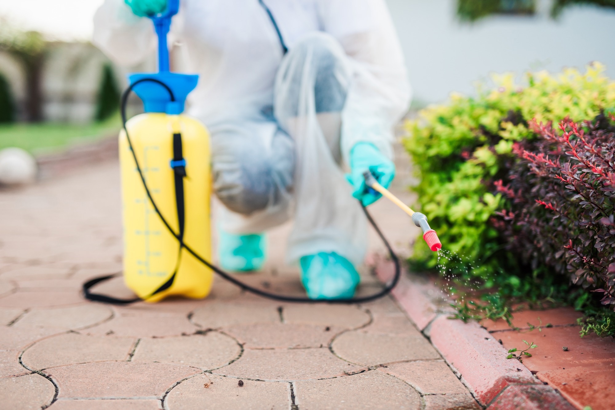 Why a common pesticide may alter brain growth in school-age children