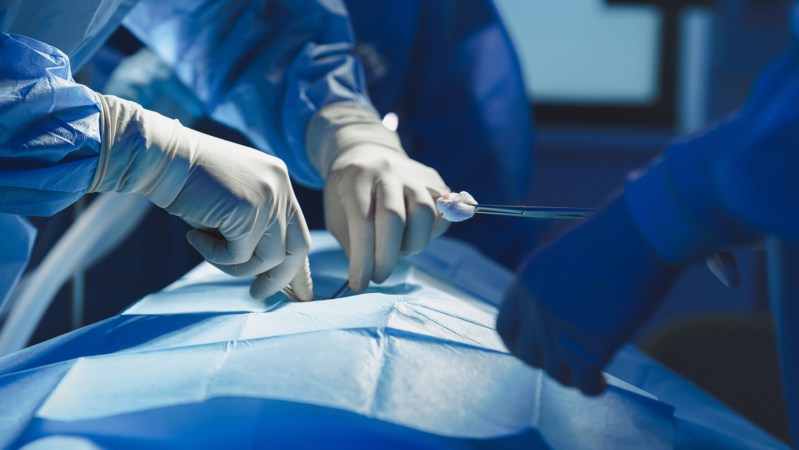 Scientists perform the first pig-to-human lung transplant
