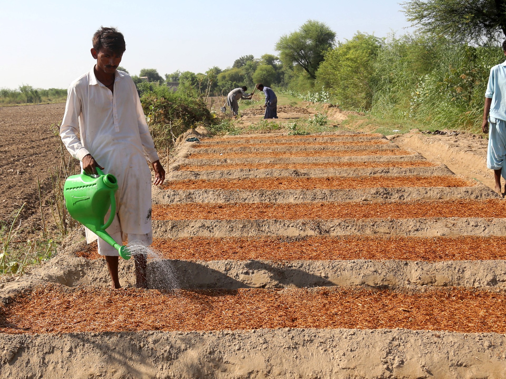 Pakistan’s farmers battle floods, debt and climate-driven crisis