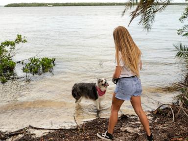 At some colleges, move-in day includes students’ dogs and cats