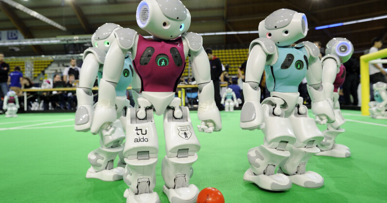 Bananas, champagne, and robots: Why automation still needs humans