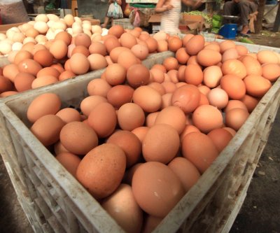 CDC recalls brown eggs linked to nearly 100 cases of salmonella