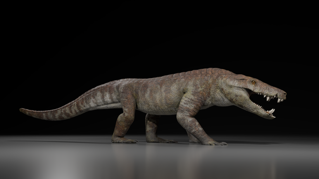70 million-year-old hypercarnivore that ate dinosaurs named after Egyptian god
