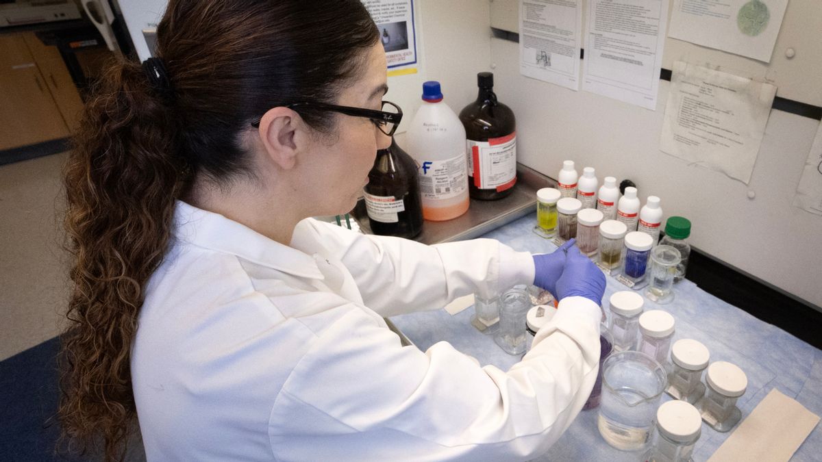 Trump didn’t ‘cancel cancer research,’ but new NIH guidance cut funding for some medical studies