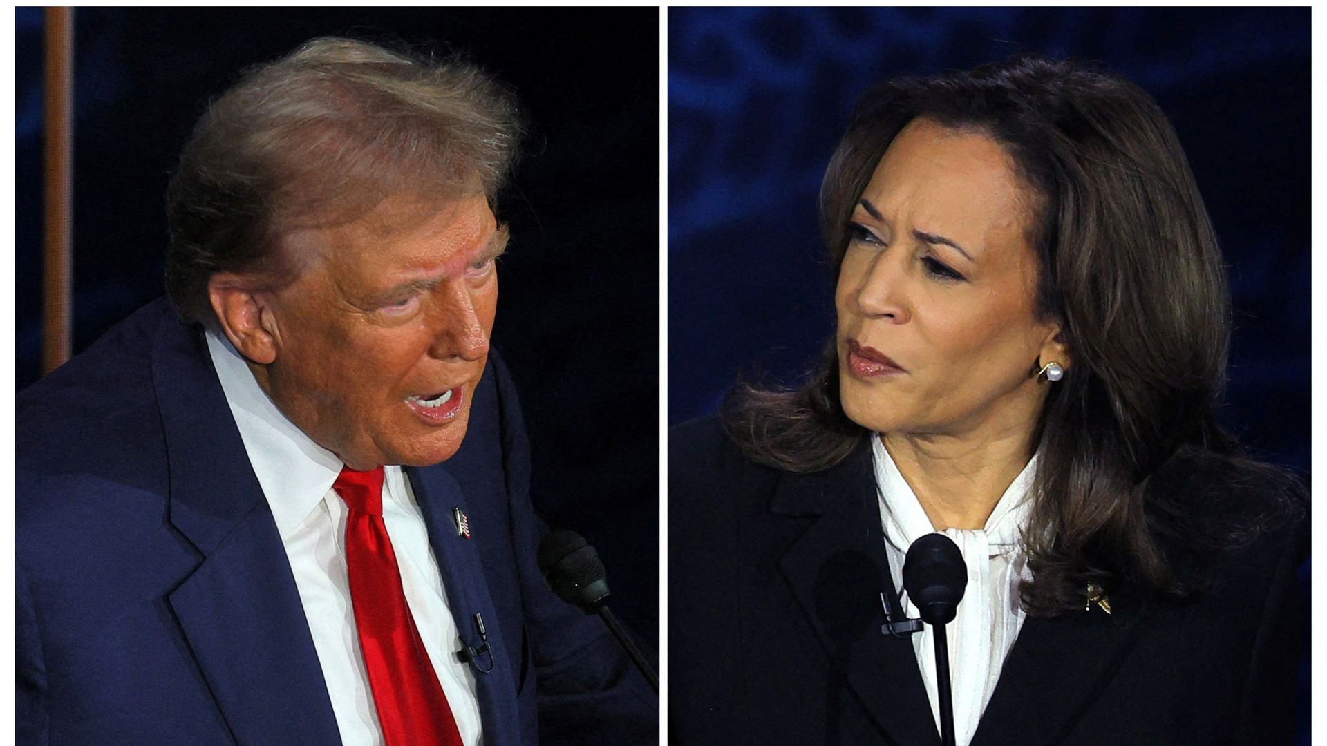 Tweety McTreason revokes Secret Service protection for Kamala Harris