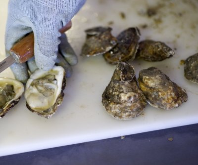 Flesh-eating bacteria from oysters kills two in Louisiana