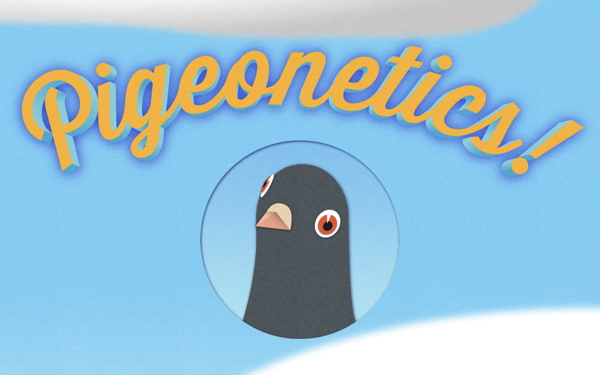 Pigeonetics