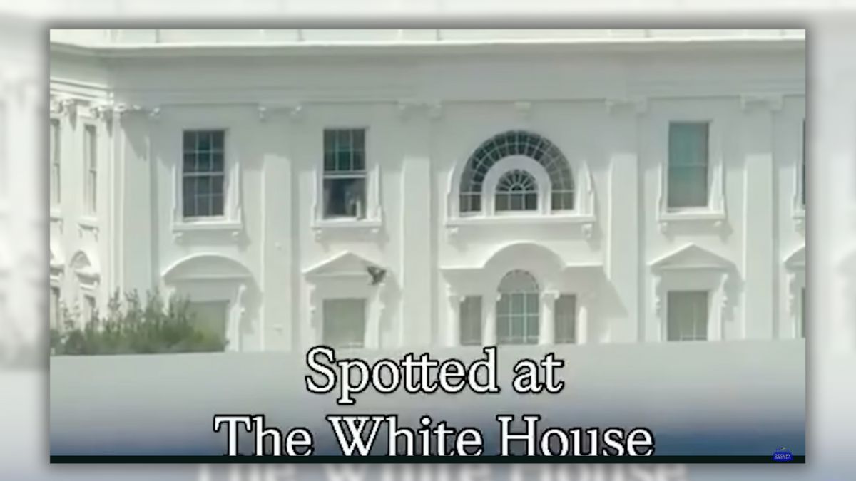 Video shows bag being thrown out of White House window?