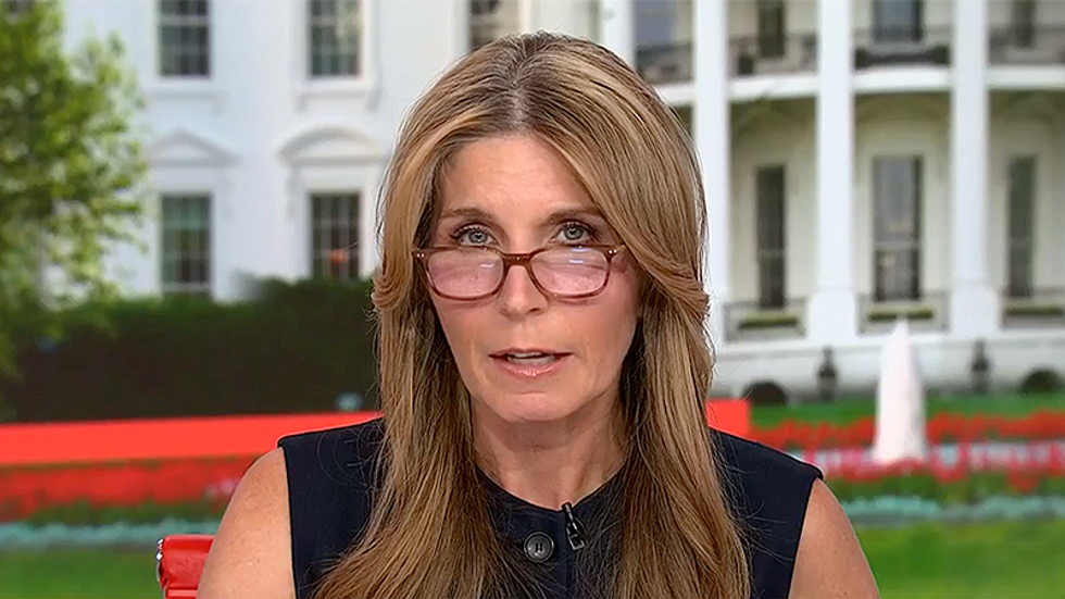 MSNBC’s Nicolle Wallace in awe watching prominent Dem ‘take a 2×4’ to Trump claims