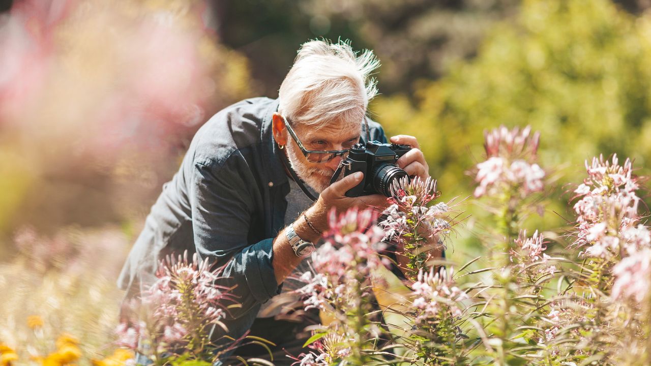 Beginner’s guide to macro photography