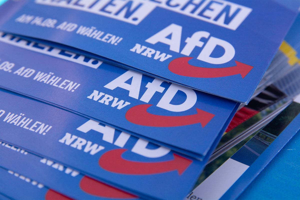 7 candidates from far-right AfD party died in weeks leading up to local German elections