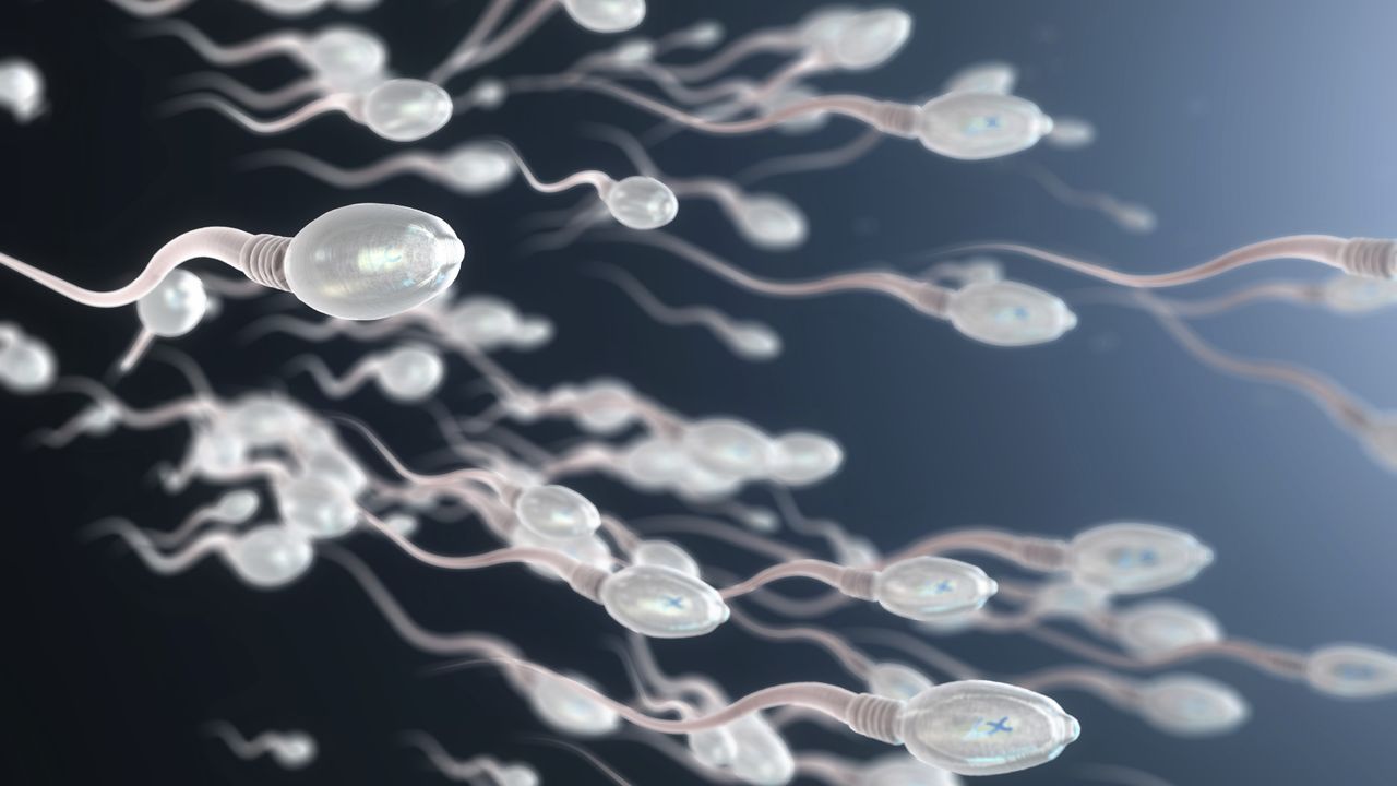 Scientists invented ‘sperm bots’ that they piloted through a fake cervix and uterus
