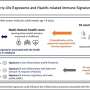 Clean air, natural spaces, healthy diets and strong social bonds linked to lower inflammation in childhood