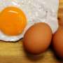 Not all dietary proteins are digested the same way