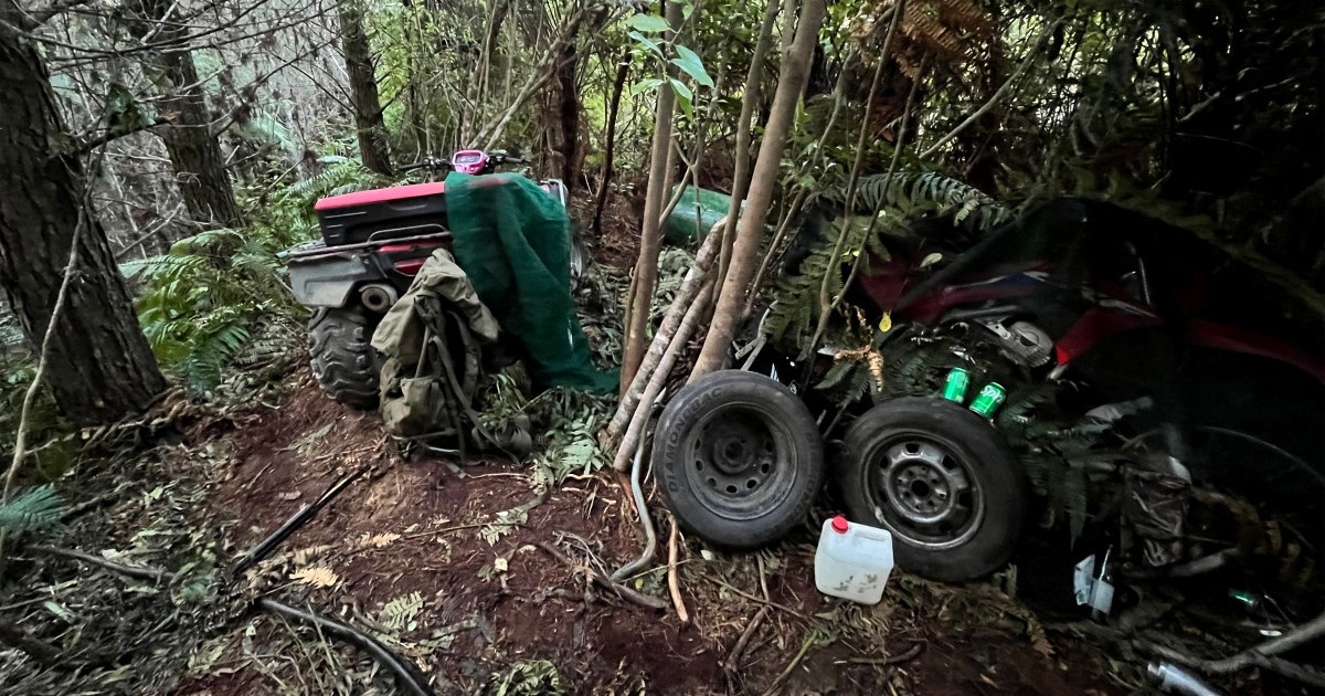 Slain New Zealand father kept bushland hideout with weapons, police say