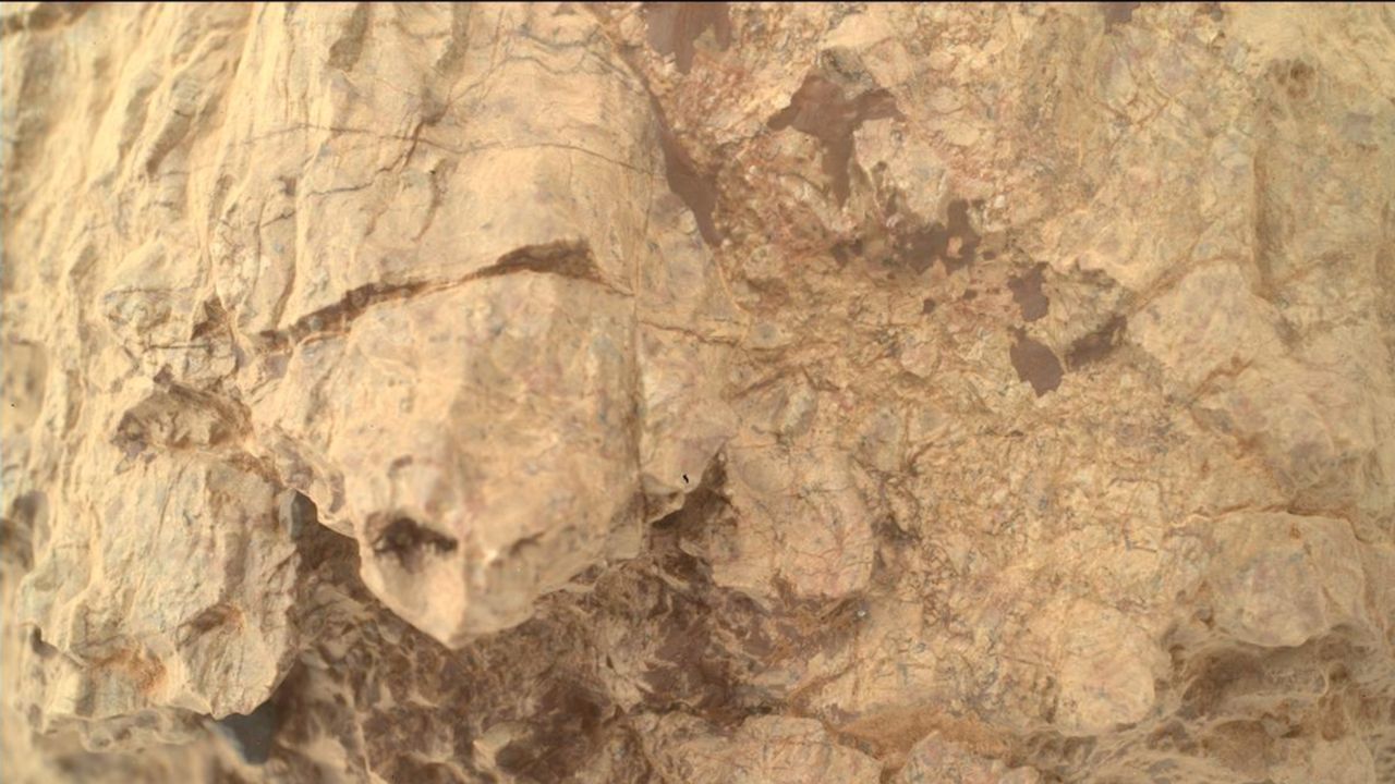 NASA rover spots bizarre ‘turtle’ hiding among ancient rocks on Mars