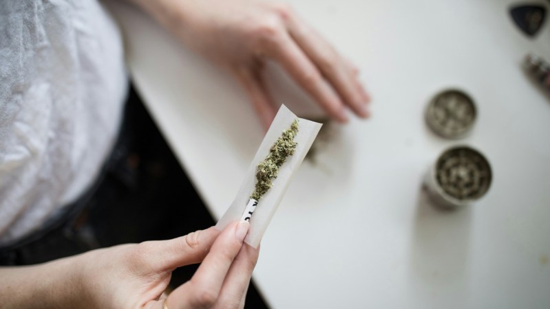 Chemicals in marijuana may affect women’s fertility
