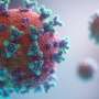 Reading the pandemic—NZ news focused on home during global crisis