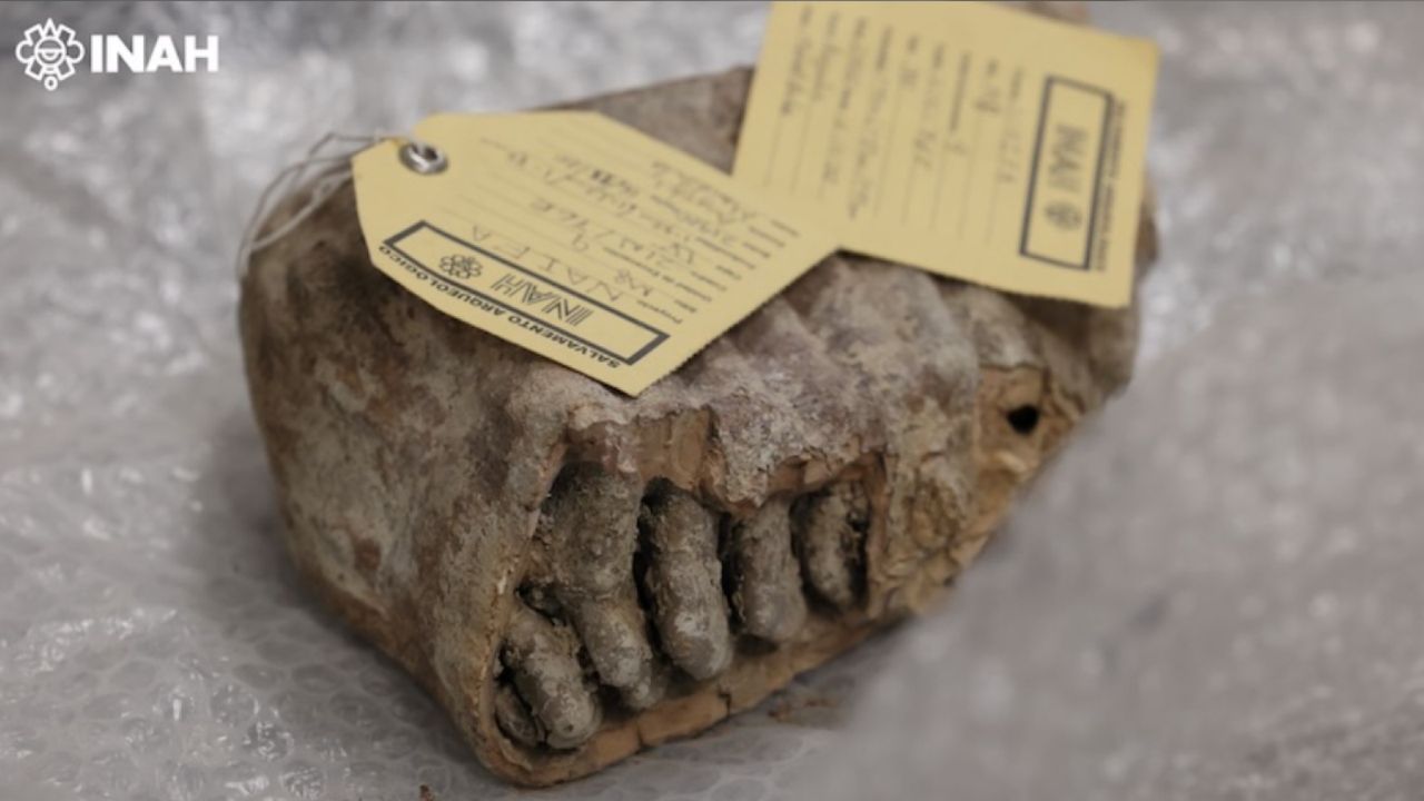Ancient DNA from Mexico’s mammoths reveals unexpected — and unexplained — genetic mysteries