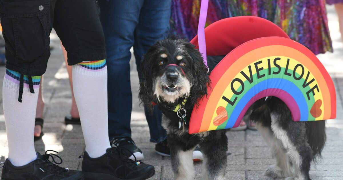 LGBTQ+ people are more accepted than we were decades ago, and that changes everything