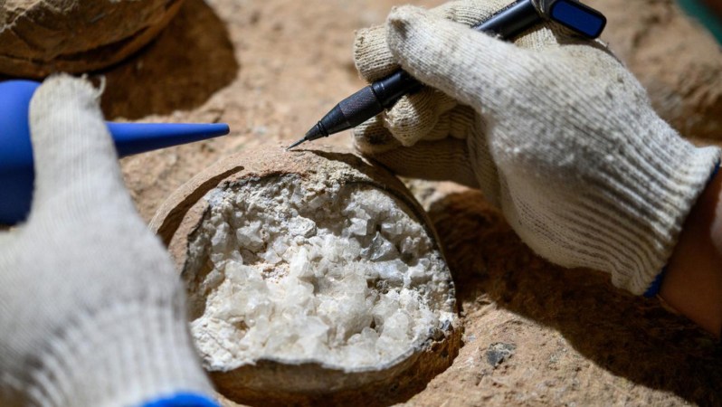 Crystallized dino eggs provide a peek into the tumultuous Late Cretaceous