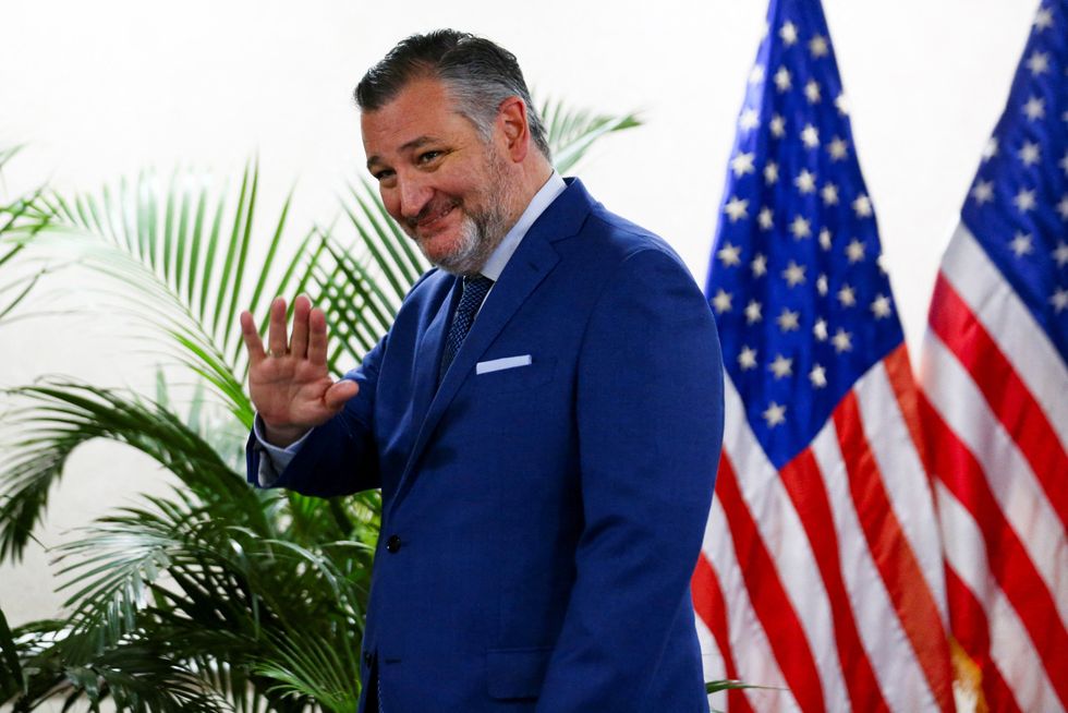 ‘Set out bait and got Ted Cruz’: Senator’s seemingly ‘inadvertent’ comment stuns analyst