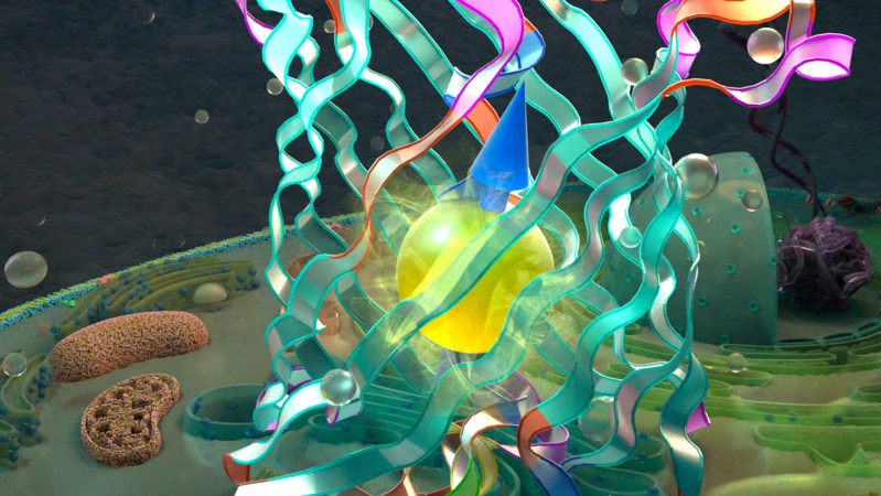 Scientists made a biological quantum bit out of a fluorescent protein