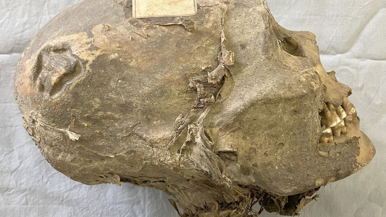 350-year-old mummified head from Bolivia isn’t what it seems