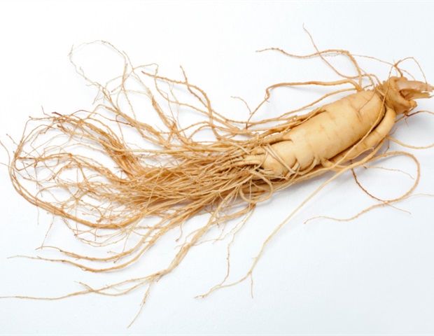 Review highlights immunomodulatory and therapeutic effects of ginseng