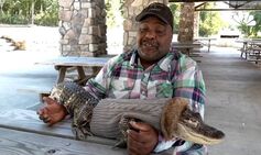 Pennsylvania man’s left stunned after emotional support alligator is  banned from Walmart