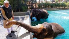 Indian billionaire family’s private zoo cleared of ‘foul play’