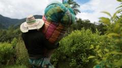 US designates Colombia as country ‘failing to cooperate in drug war’