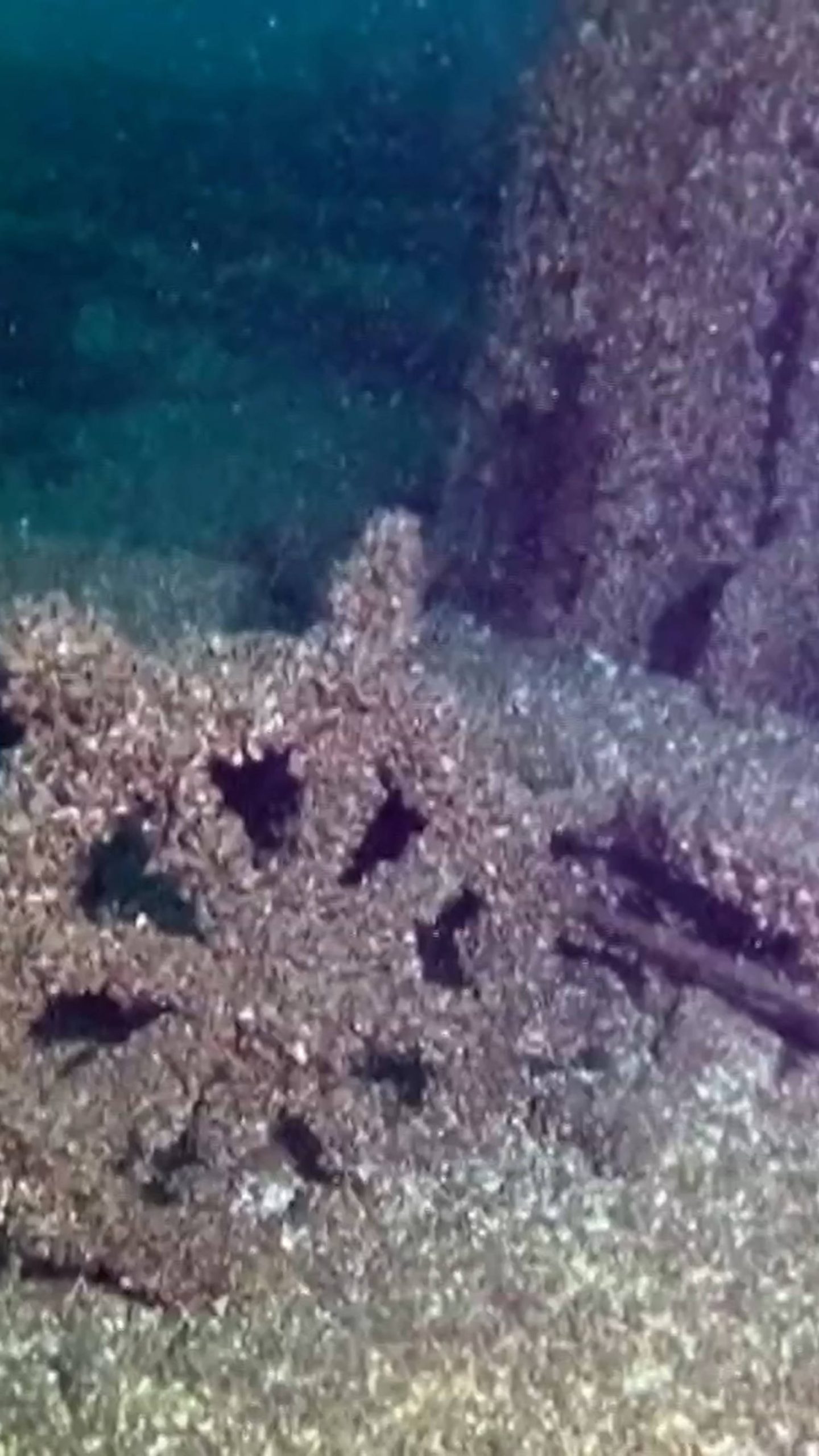 ‘Ghost ship’ missing since 1886 found in Lake Michigan