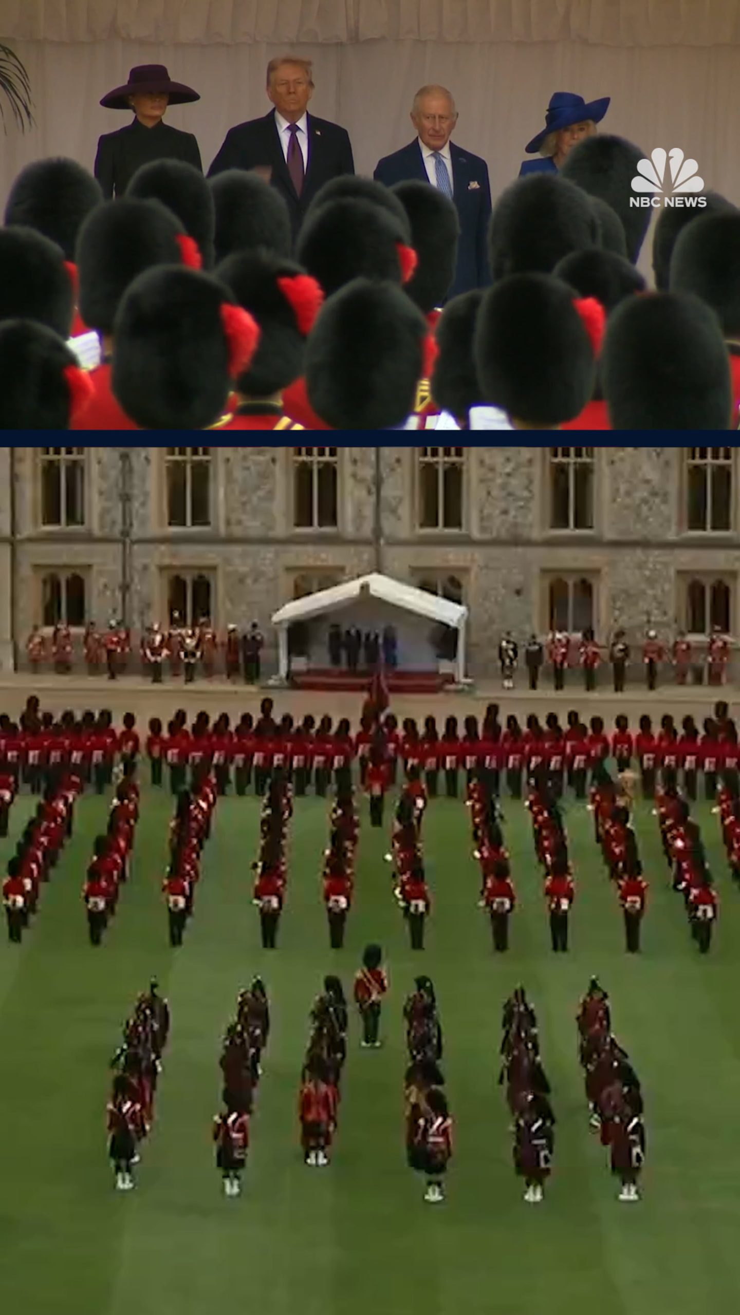 Tweety McTreason arrives at Windsor Castle
