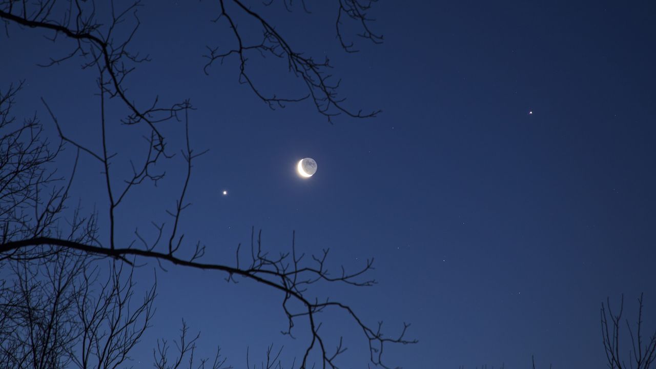 How to see the moon, Venus and the bright star Regulus in an ultraclose conjunction tomorrow