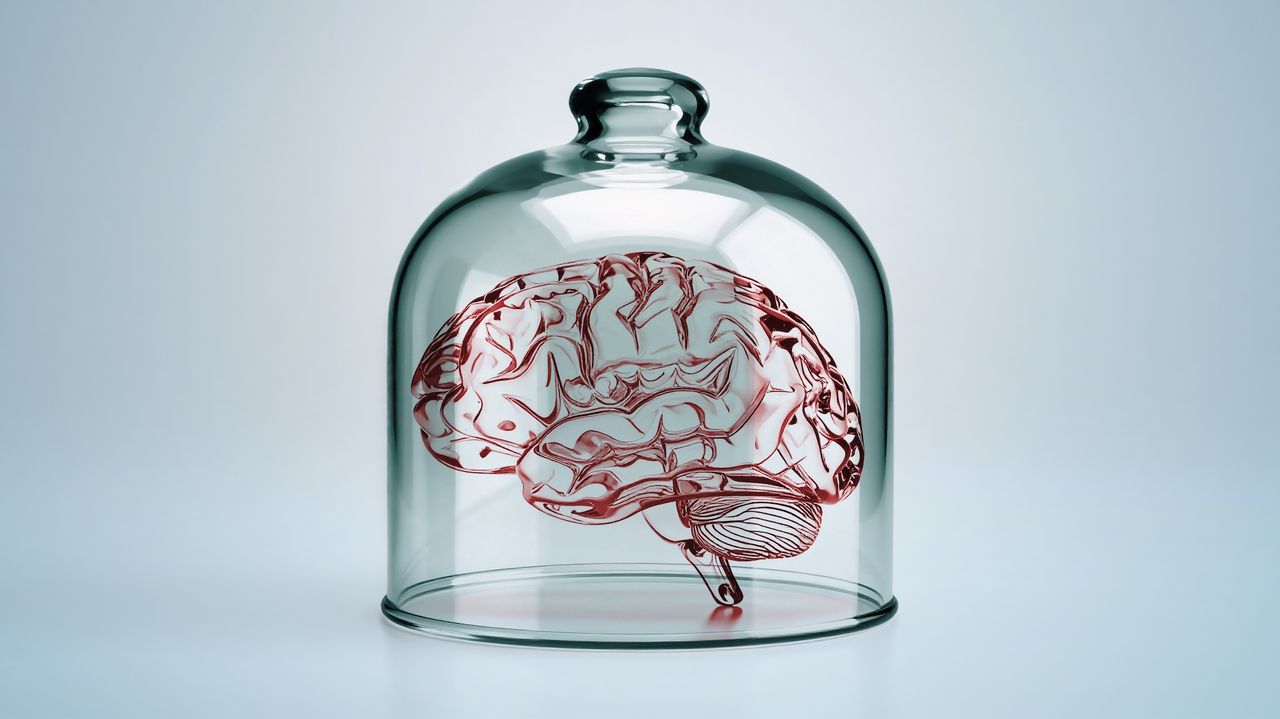 Tiny ‘brains’ grown in the lab could become conscious and feel pain — and we’re not ready