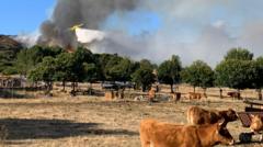 Spain counts the cost of ‘nightmare’ wildfire summer