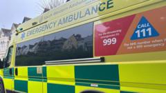 Ambulance workers arrested after six people die