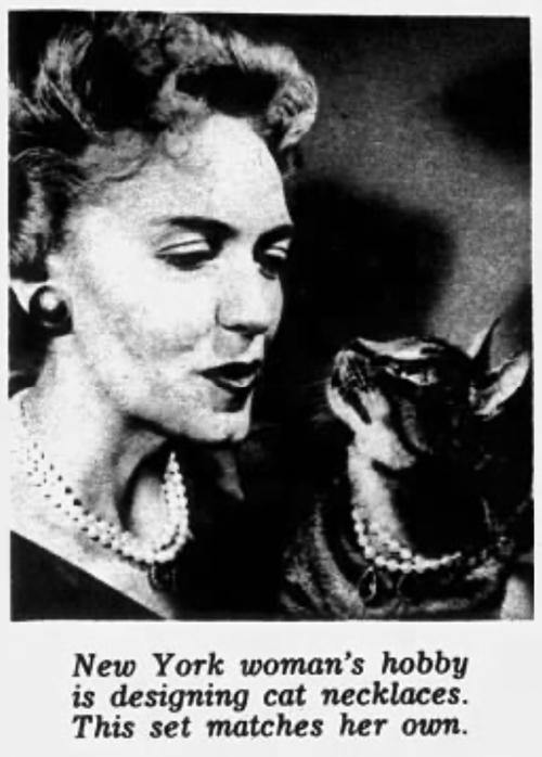 Necklaces for Cats