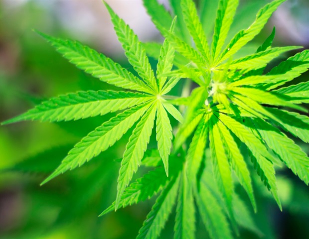 Inhaling marijuana associated with increased odds of developing asthma