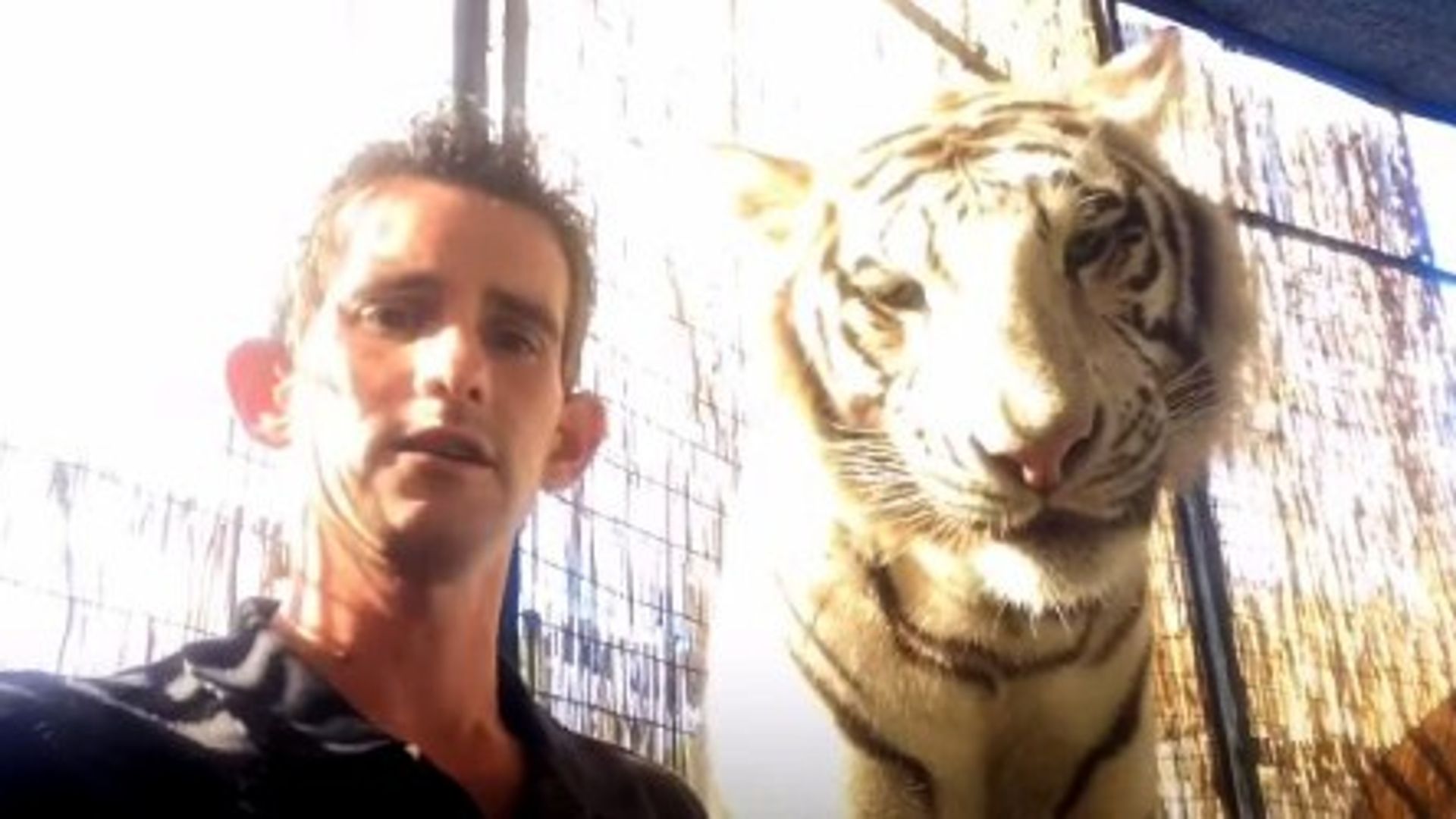 Animal handler linked to ‘Tiger King’ Joe Exotic mauled to death by big cat