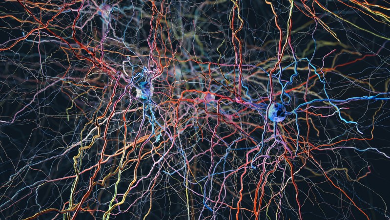 Lung cancer plugs into the mouse brain