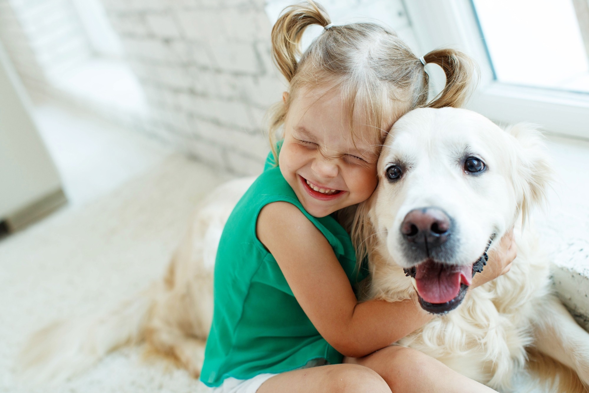 How pandemic puppies changed children’s mental health and family life