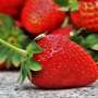 Eating some types of produce may raise pesticide levels in people