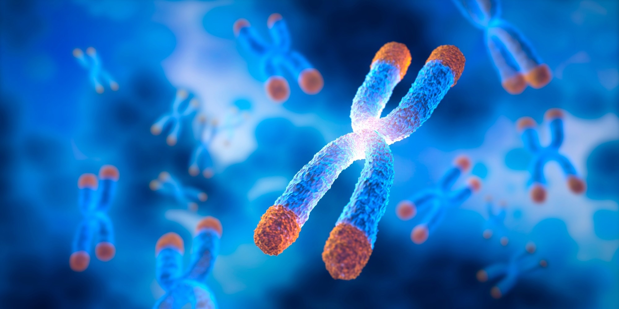 Study shows dementia patients exposed to pollution had longer telomeres