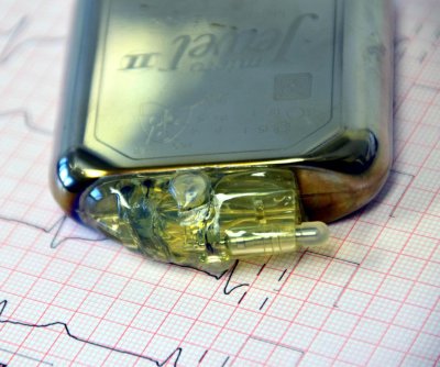 Chilean researchers replicate heart’s electrical system