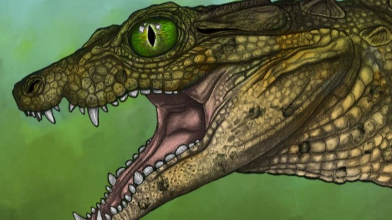 95 million-year-old ‘tiny, tiny skull’ from never-before-seen crocodile-like creature discovered in Montana