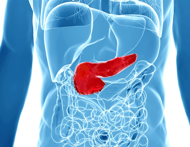 Tumor cells adapt and thrive in damaged parts of the pancreas
